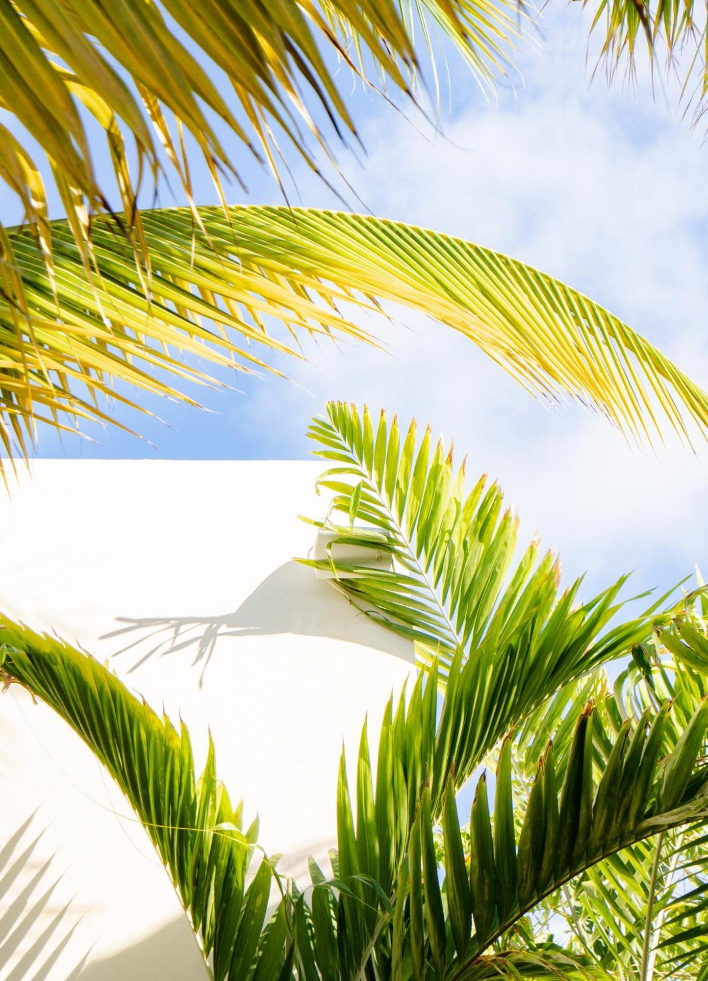 Le Martin Boutique Hotel Cul de Sac Exterior photo